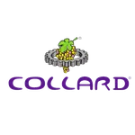 Collard Collard