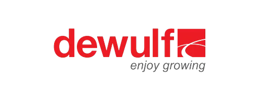 Dewulf Dewulf