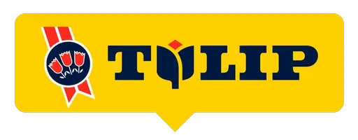 Tulip Tulip