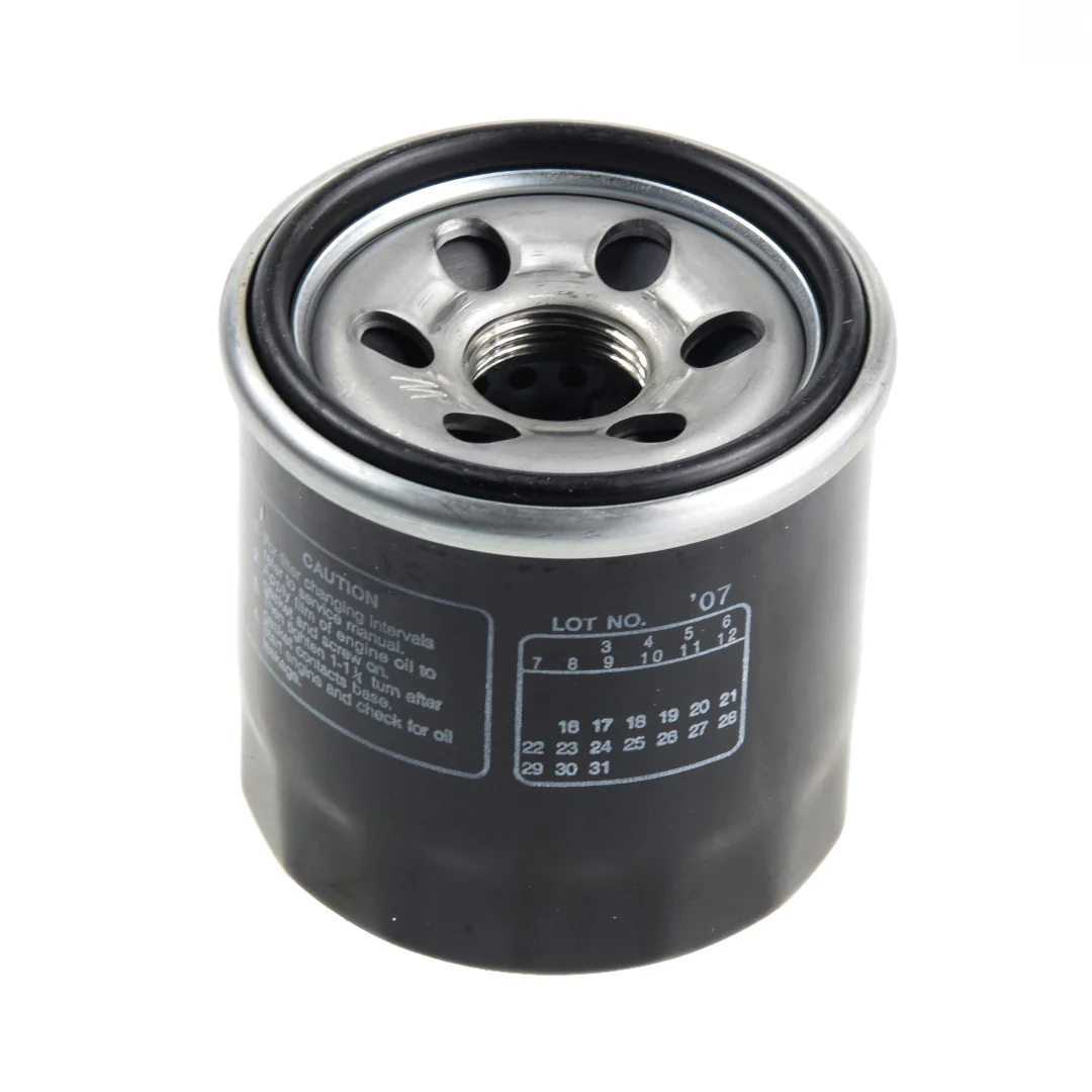 AGCO - 0.010.3989.1 - Massey Ferguson Ölfilter