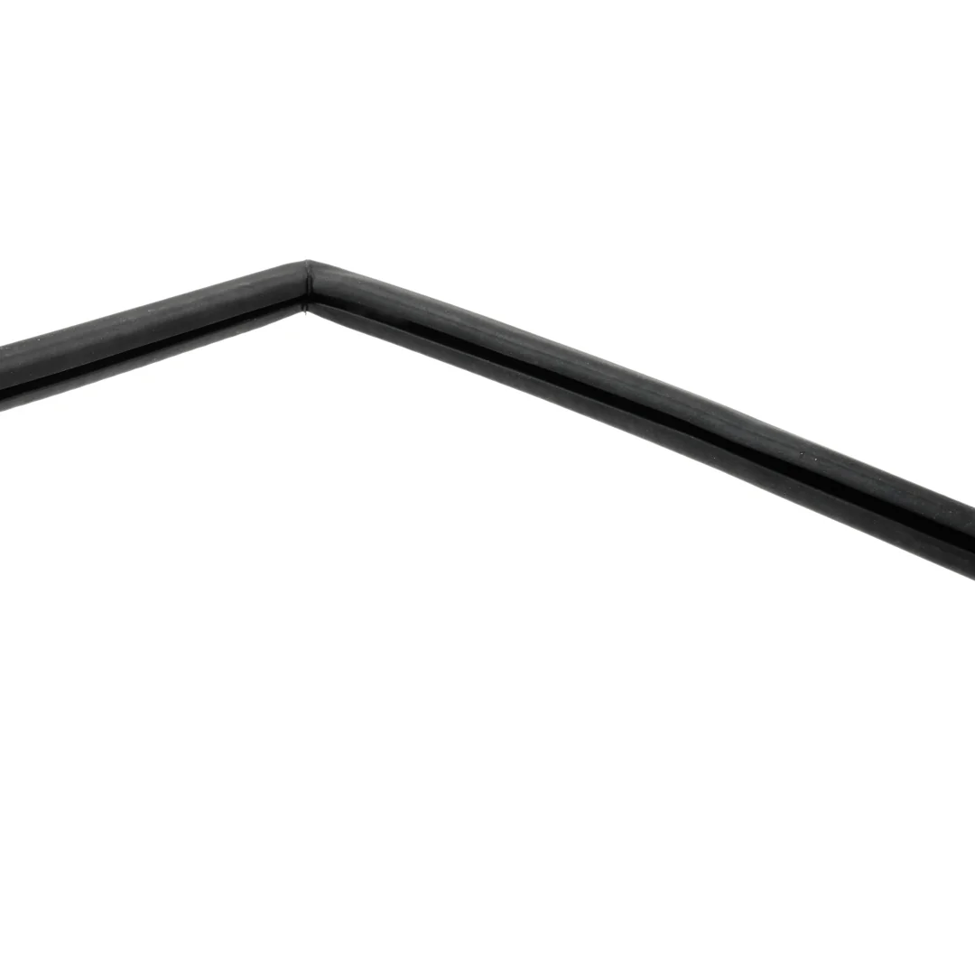 AGCO - 117810030135 - Türfensterdichtung Fendt