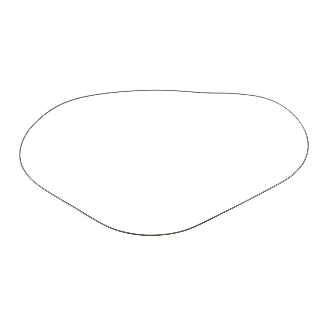 AGCO - 3010029X1 - O-Ring für Getriebe Massey Ferguson