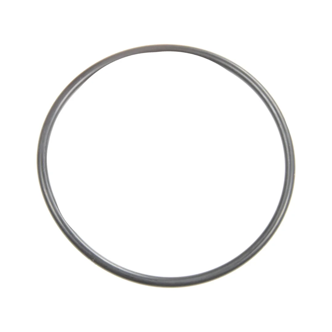 AGCO - 3903194M1 - Massey Ferguson  Nasskupplungsfilter O-Ring