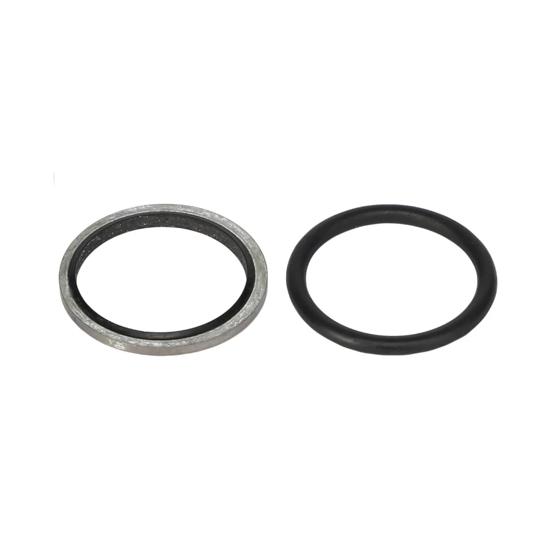 AGCO - 3908552M91 - Massey Ferguson er Dichtungssatz