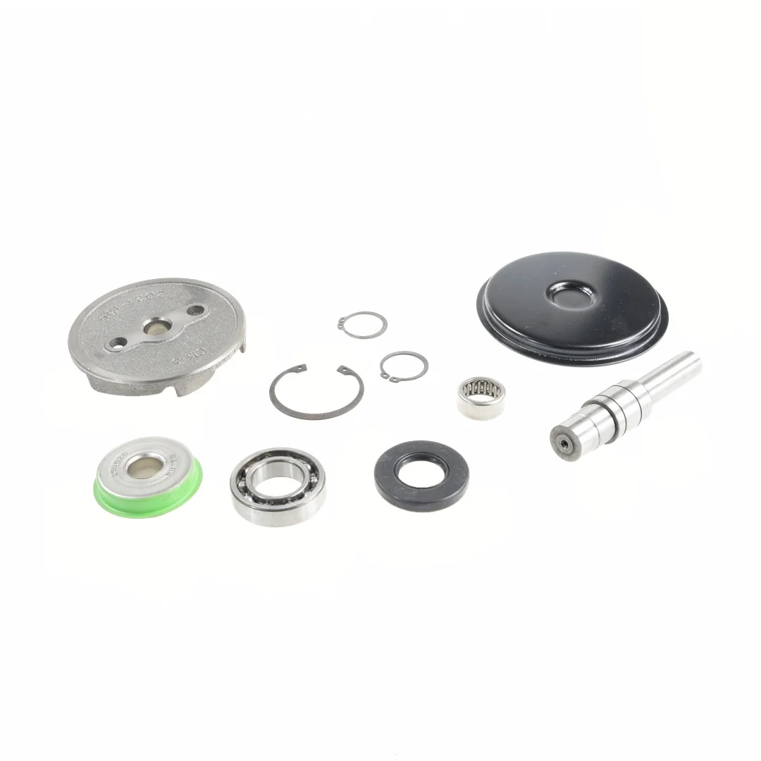AGCO - 4224675M91 - Wasserpumpen-Reparatursatz Massey Ferguson