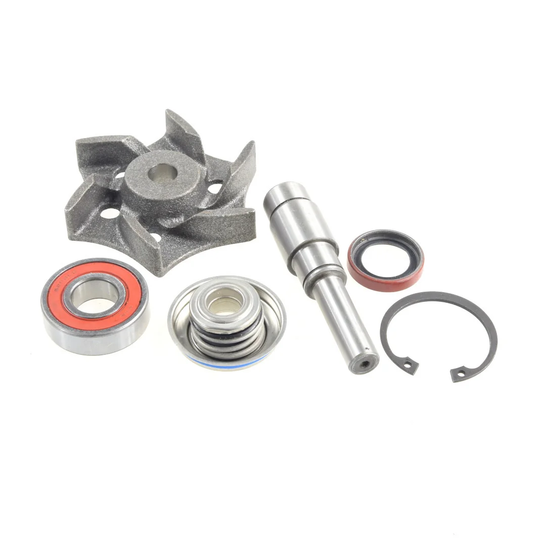 AGCO - 4225070M91 - Massey Ferguson  Wasserpumpen-Reparatursatz