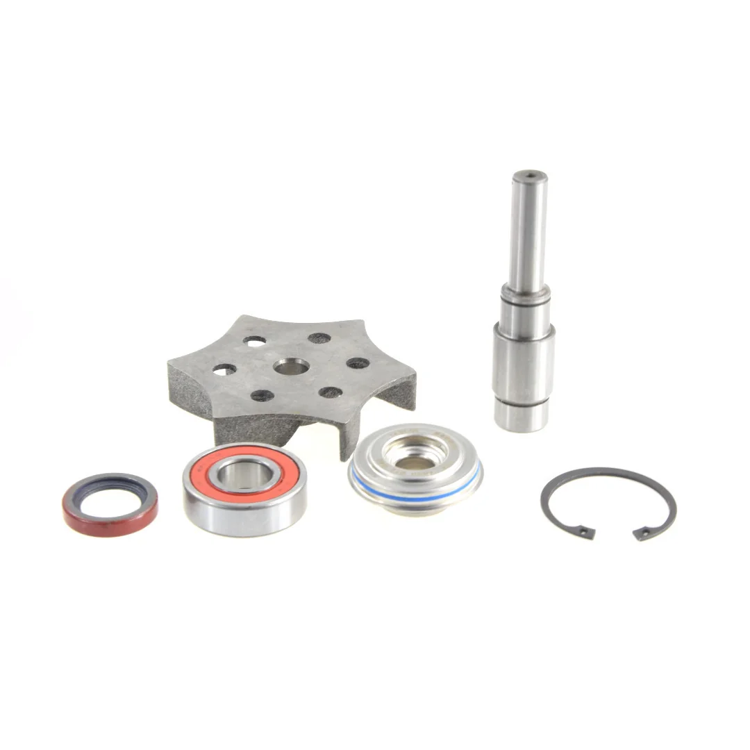 AGCO - 4225070M91 - Massey Ferguson  Wasserpumpen-Reparatursatz
