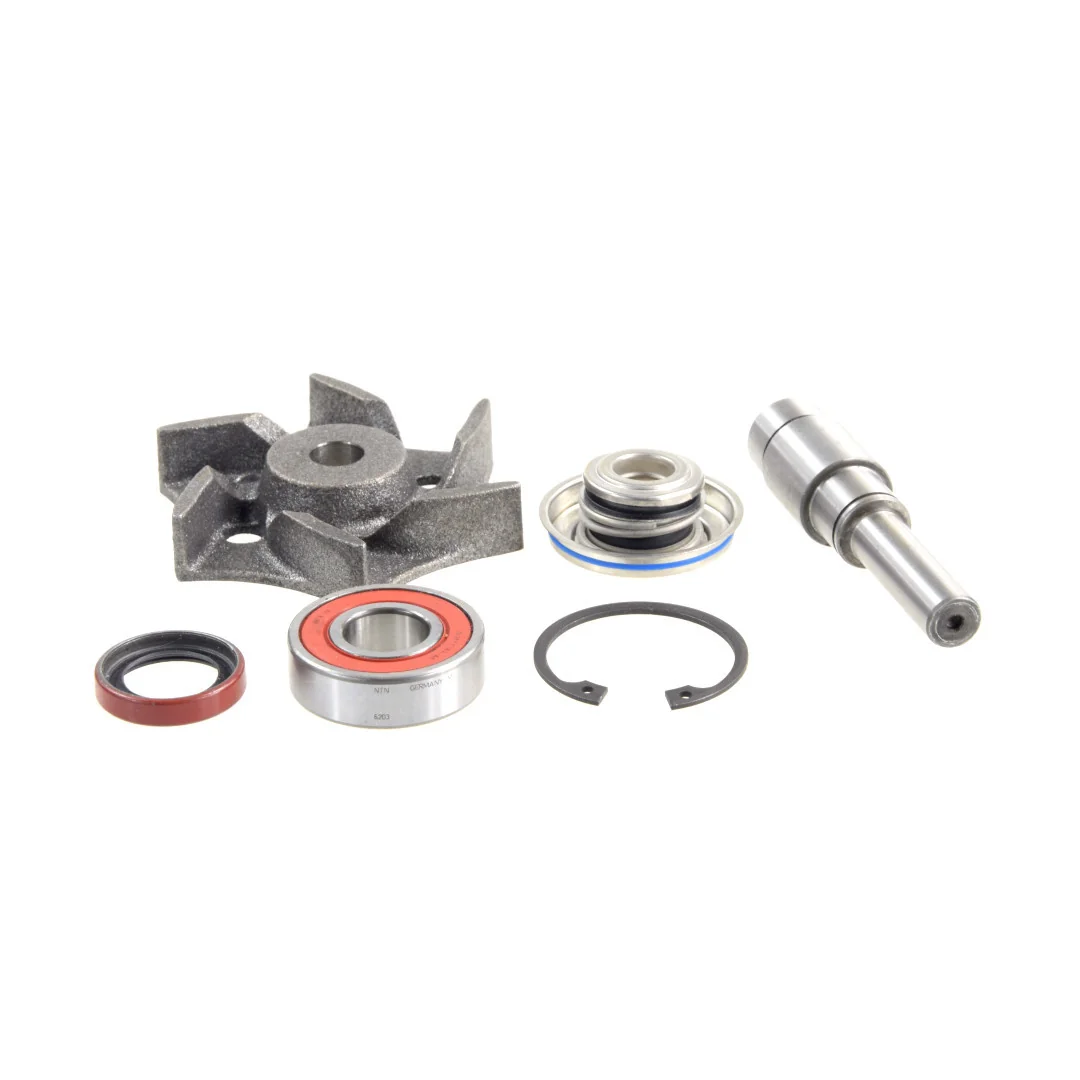 AGCO - 4225070M91 - Massey Ferguson  Wasserpumpen-Reparatursatz