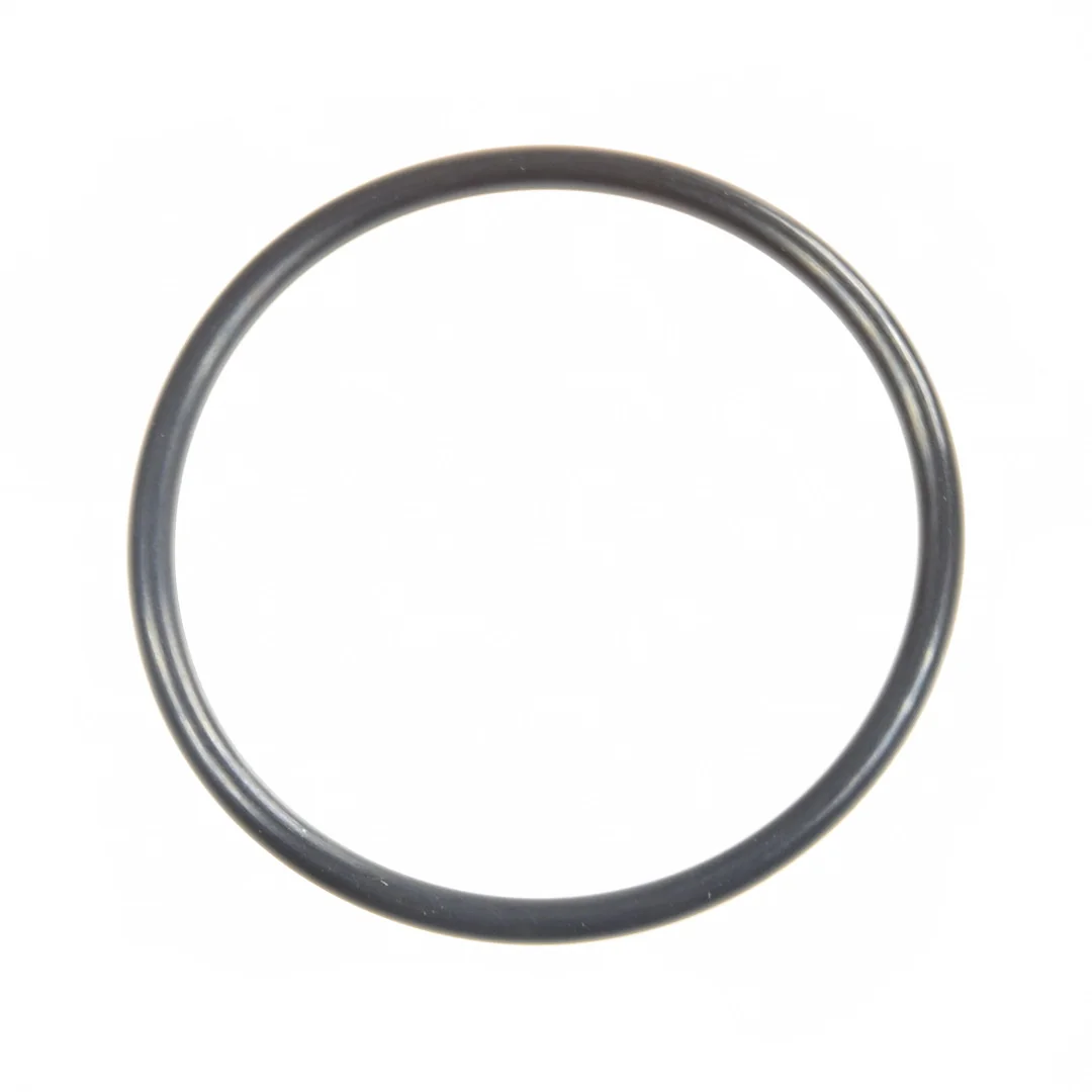 AGCO - 70923580 - Massey Ferguson  Differential-O-Ring