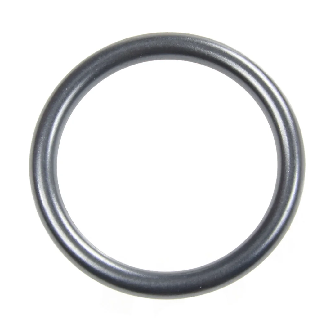 AGCO - F339202710070 - Injektor-O-Ring Fendt