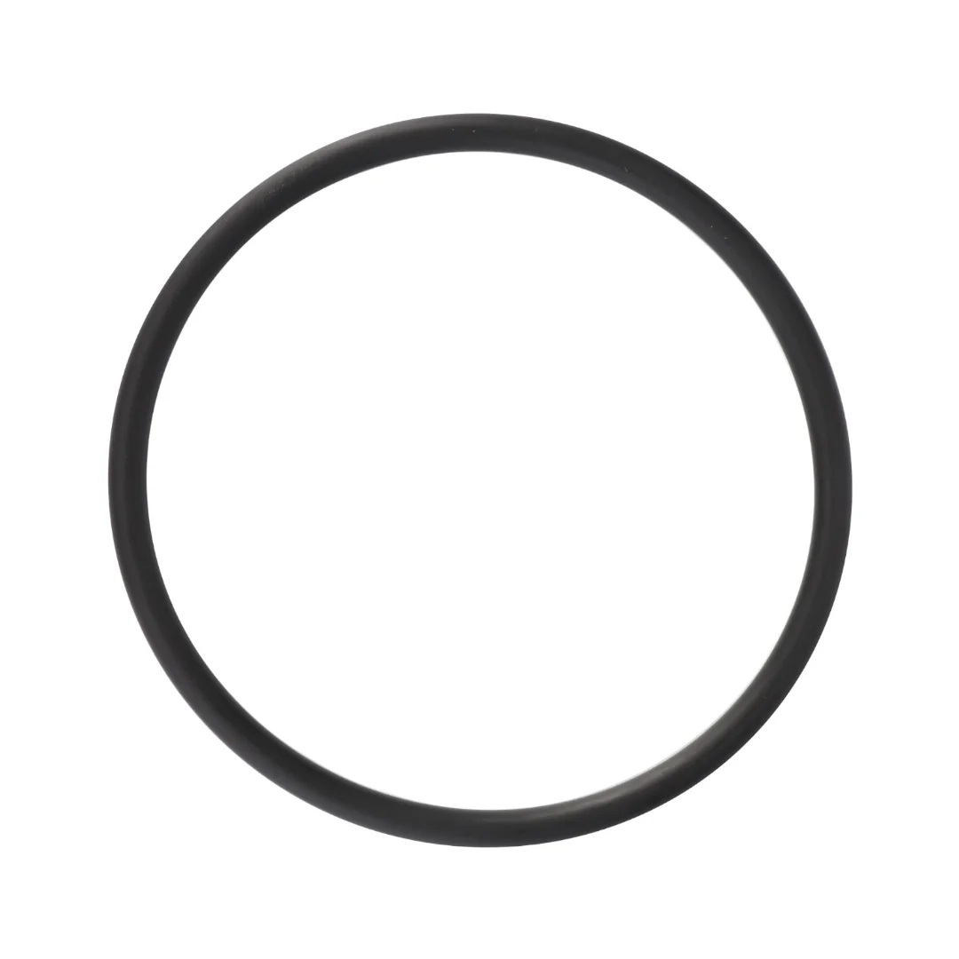 AGCO - F716201050030 - Fendt Thermostatring
