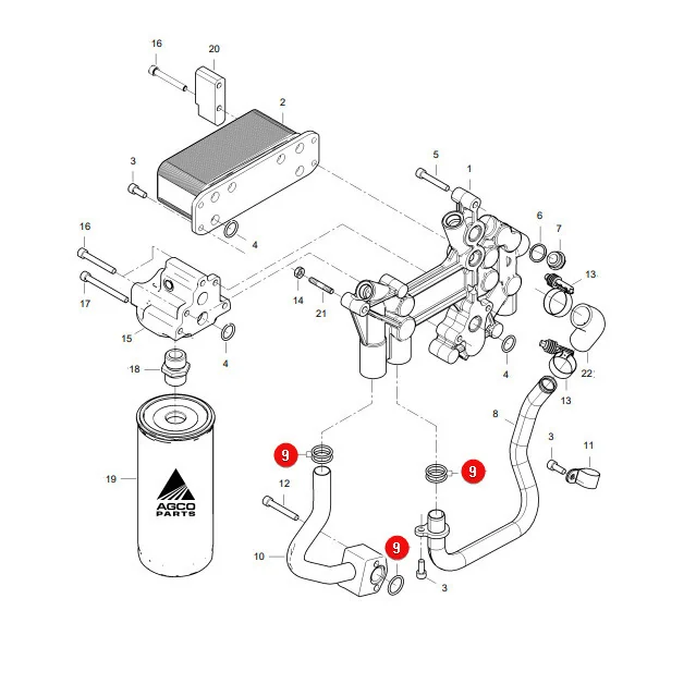 AGCO - V614602430 - Massey Ferguson Ölkühler-O-Ring