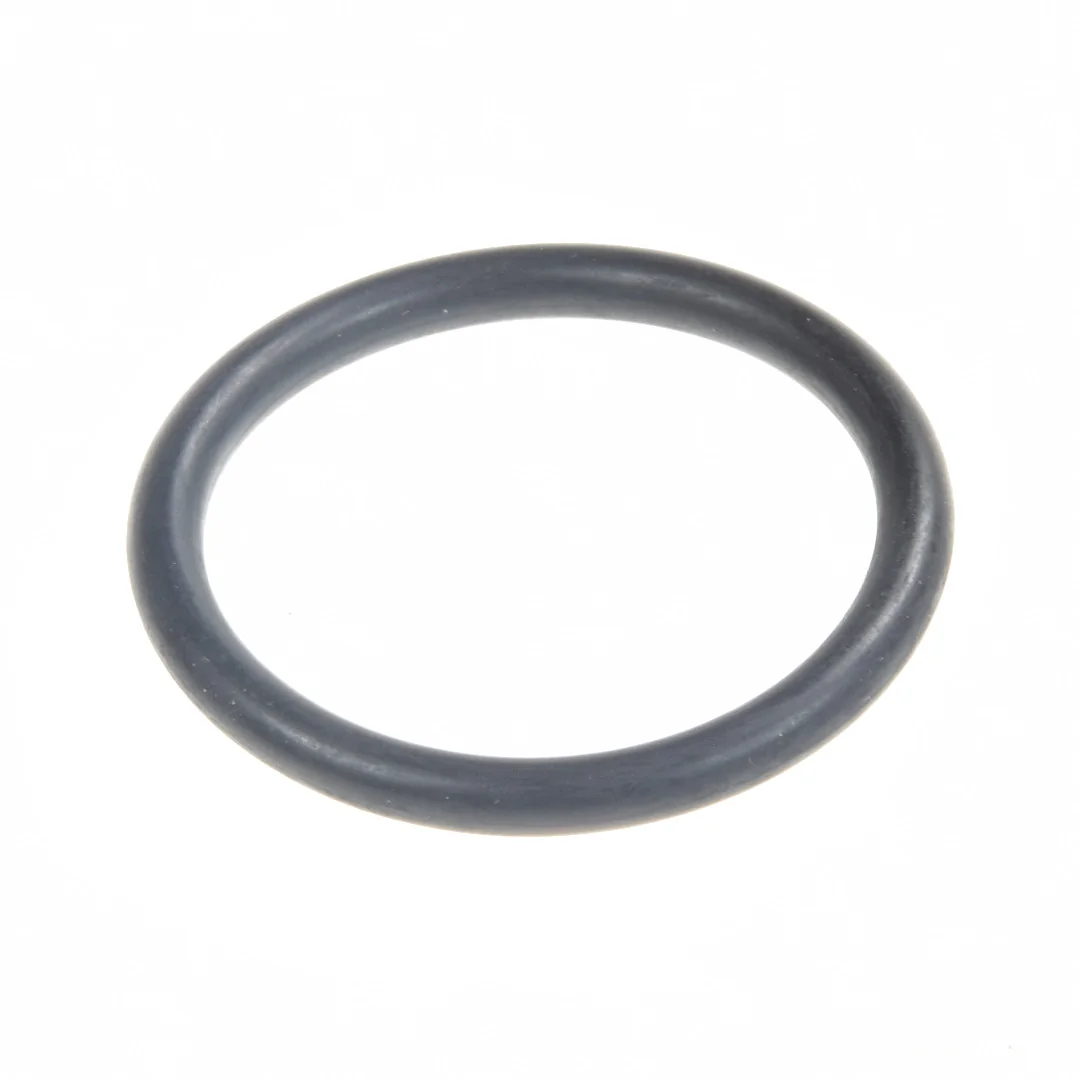 AGCO - V614604958 - Massey Ferguson Thermostat-O-Ring