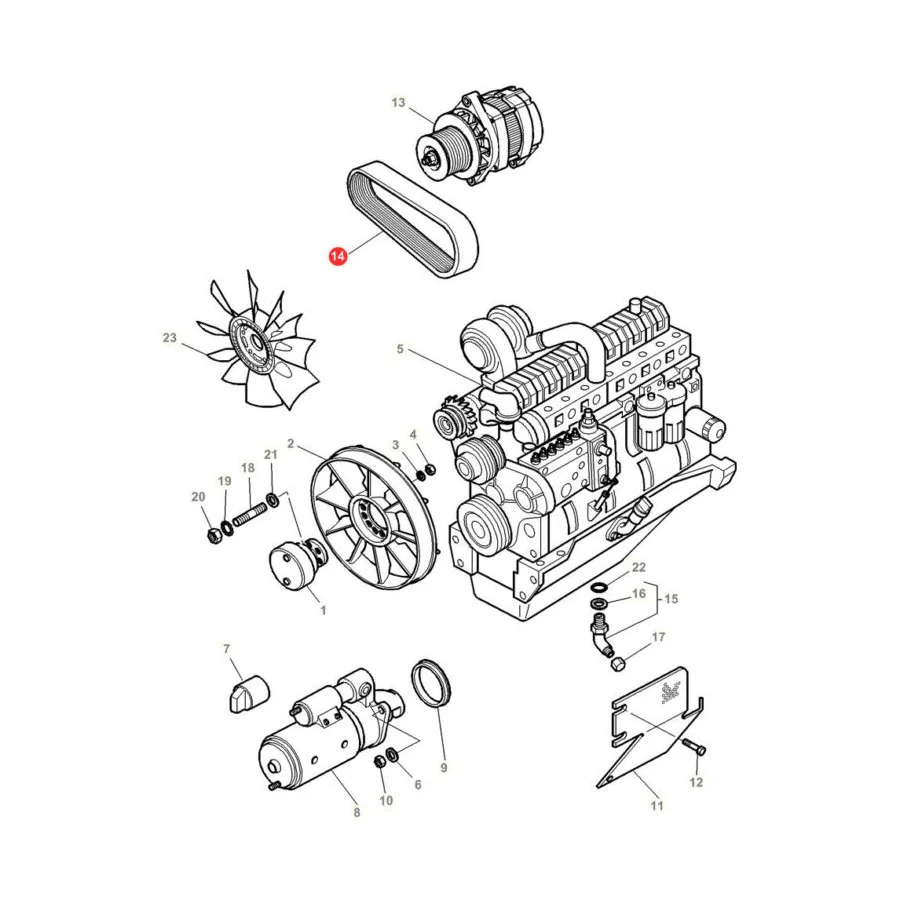 AGCO - V685121905 - Massey Ferguson Mehrrippen-Keilriemen