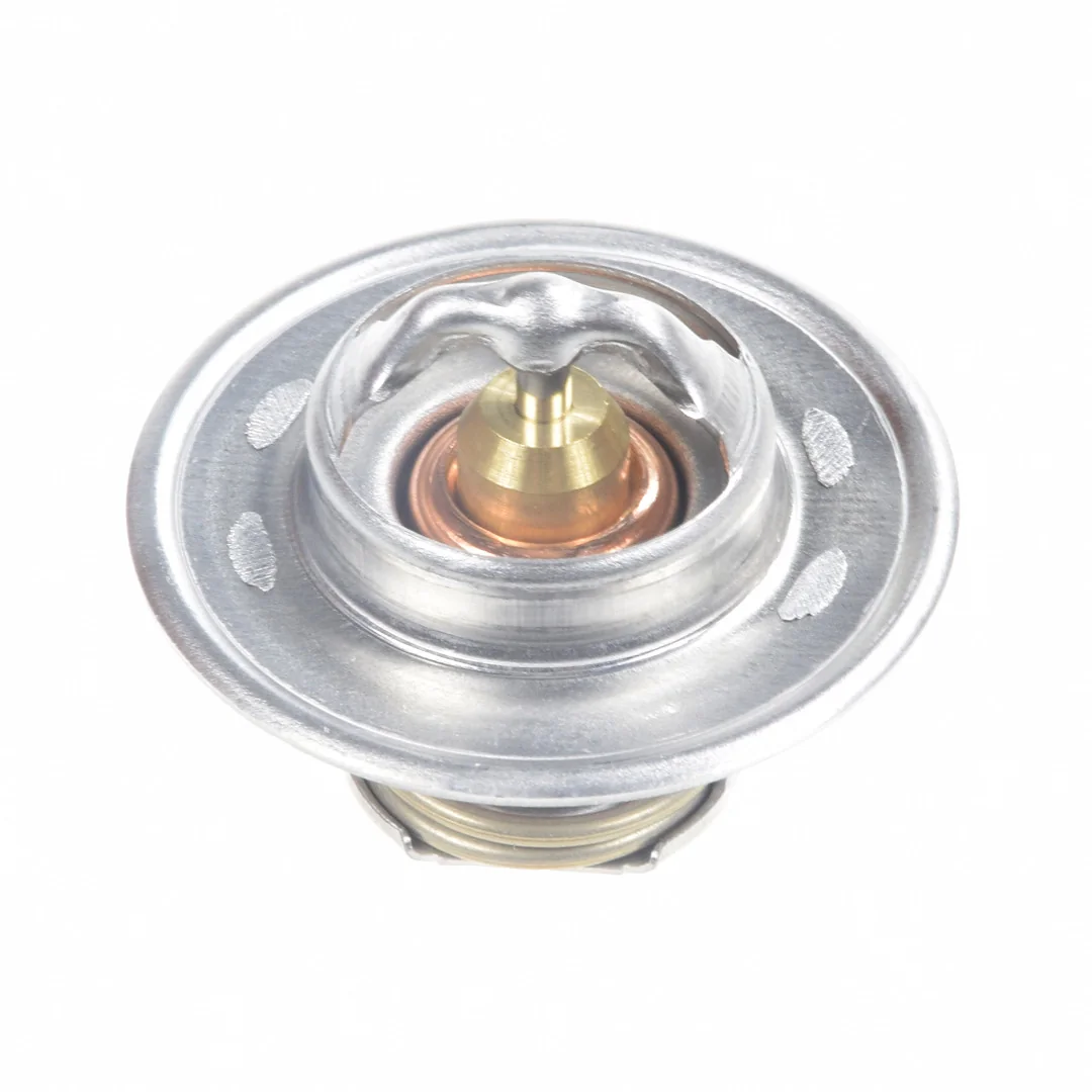AGCO - V836015156 - Massey Ferguson Motorthermostat