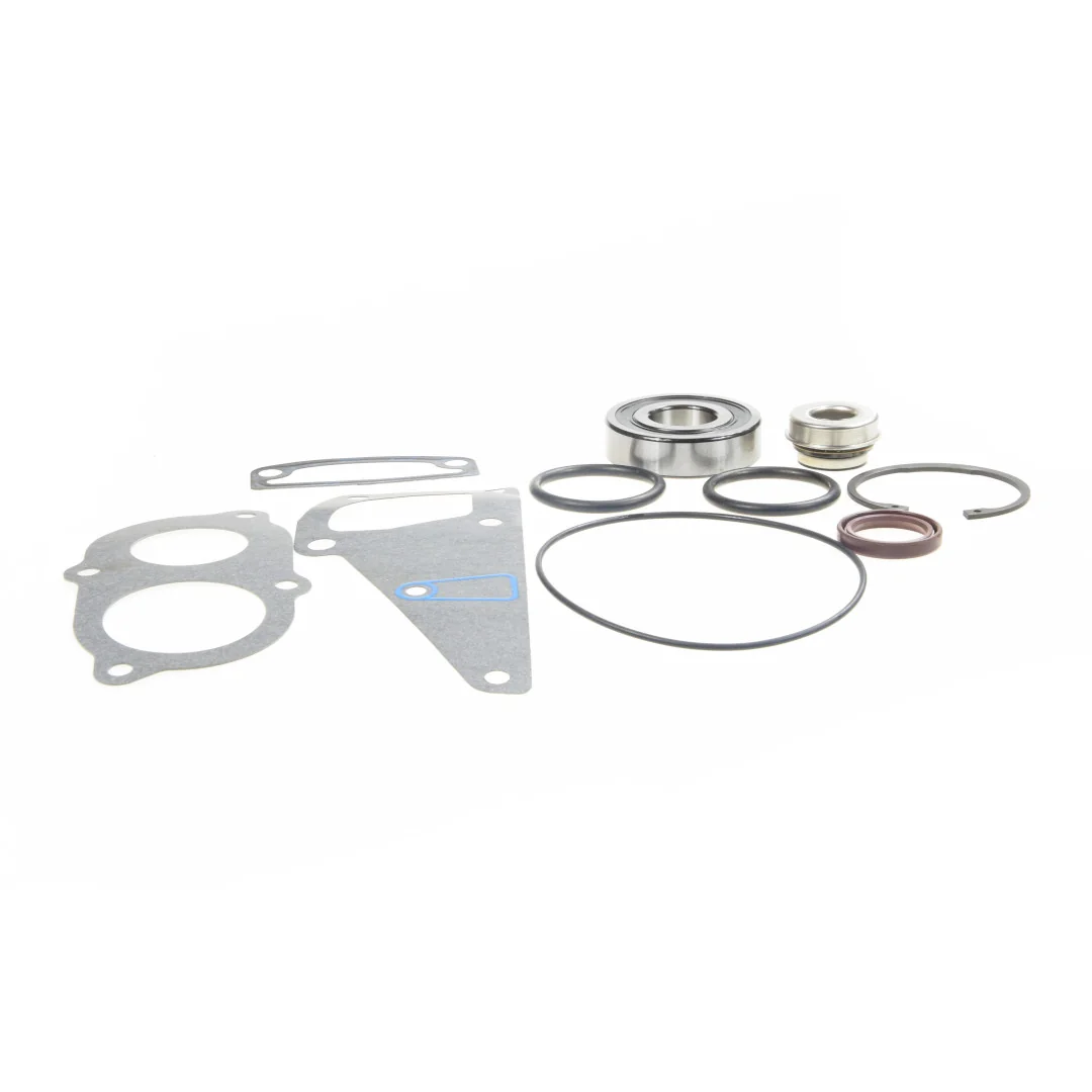 AGCO - V836862613 - Wasserpumpen-Reparatursatz Massey Ferguson