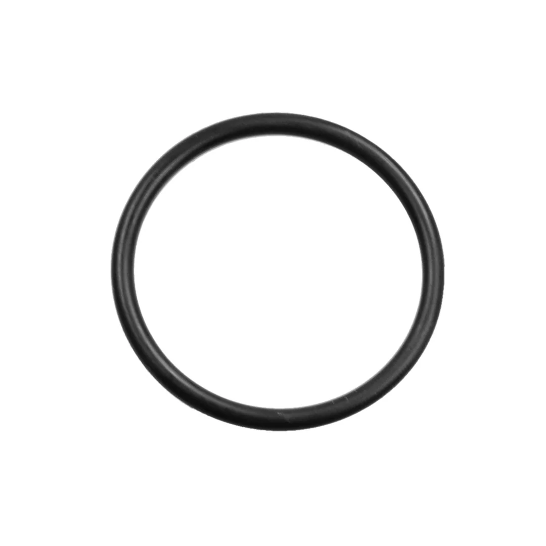 AGCO - X548901066000 - O-Ring Zapfwelle Massey Ferguson