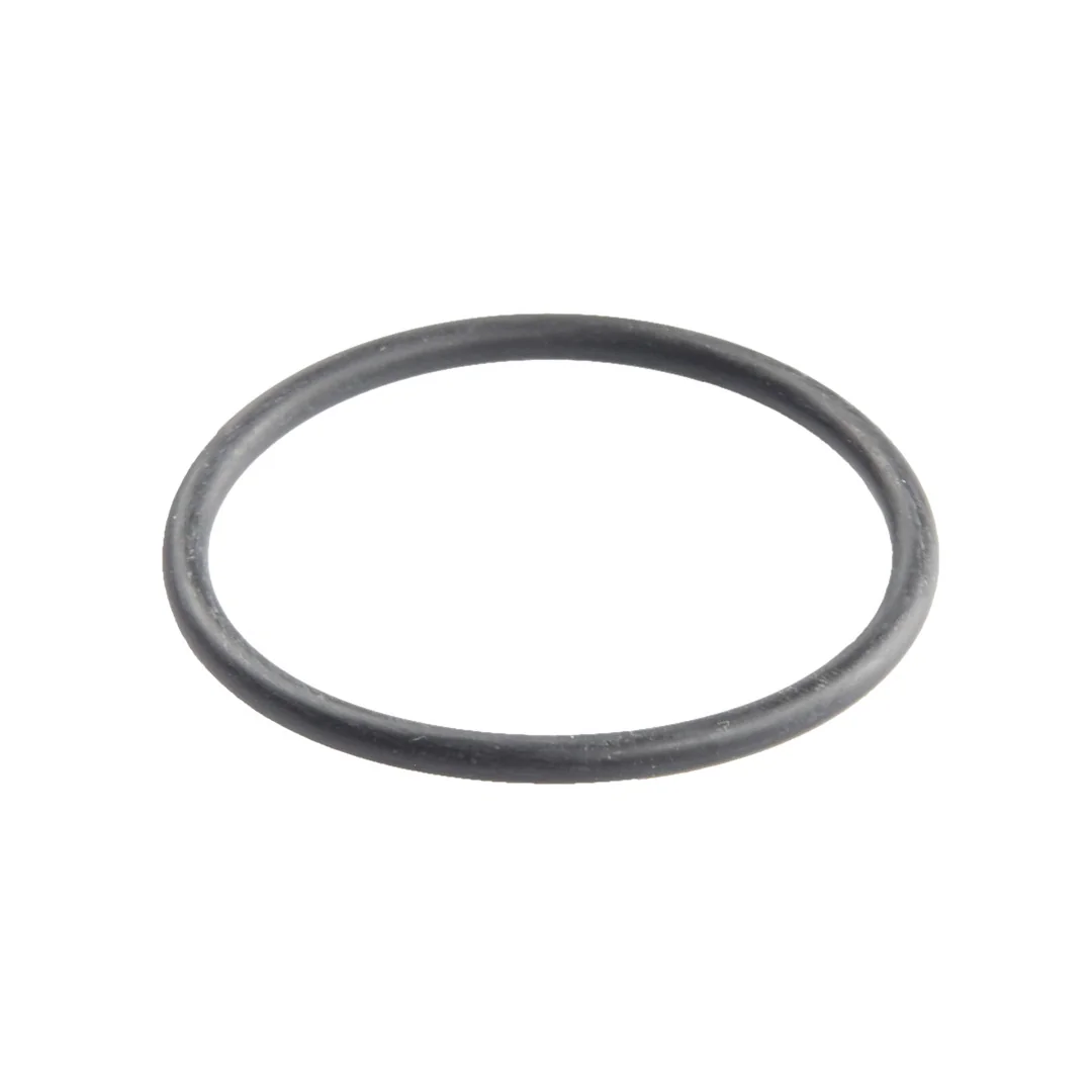 AGCO - X548909366000 - O-Ring der WOMu Massey Ferguson