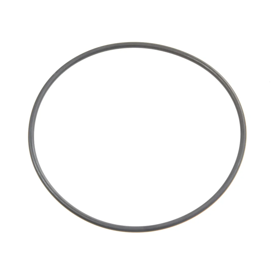 AGCO - X548960666000 - O-Ring des Antriebsfilters Massey Ferguson