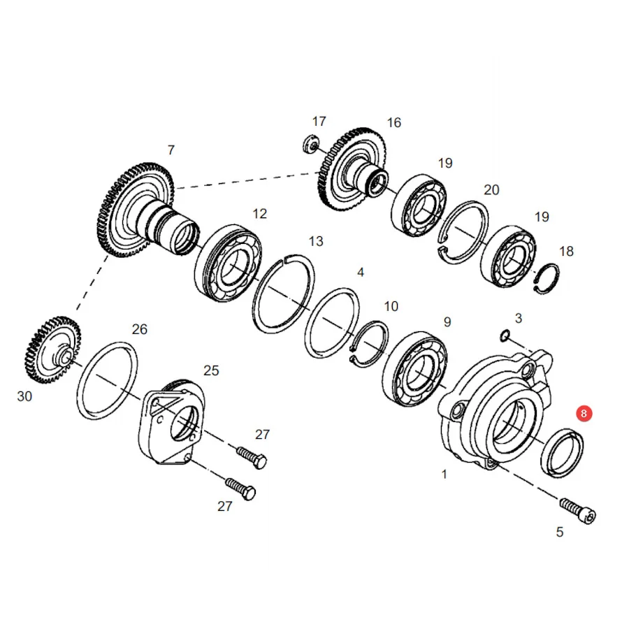 AGCO - X550108900000 -  Massey Ferguson Wellendichtung