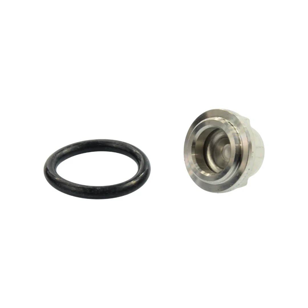 Berthoud - 04446001 -  PM265-Pumpenventil