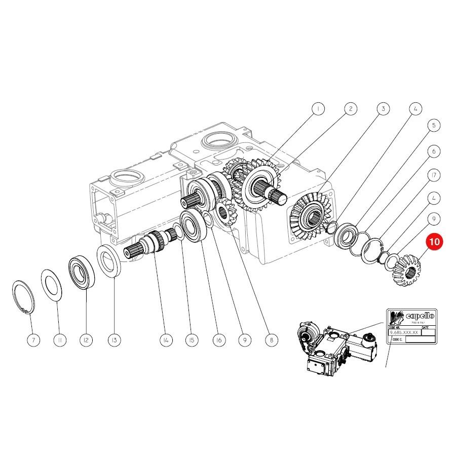 Capello - CP04501500 - Getriebe 12 Zähne