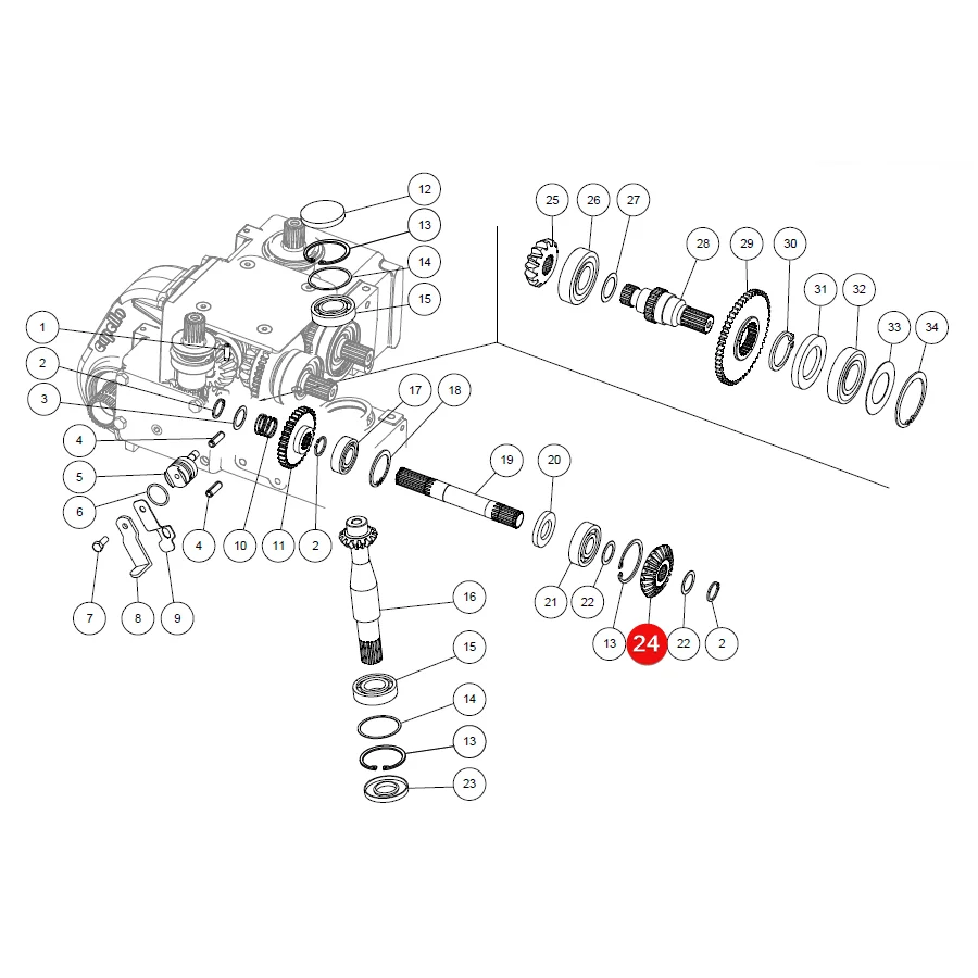 Capello - CP04532800 - Zahnrad 23Z