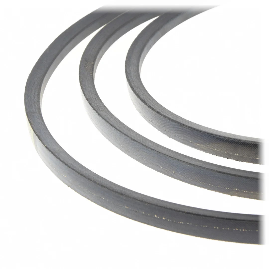 Gates - 101099 - Claas Keilriemen 767057.1