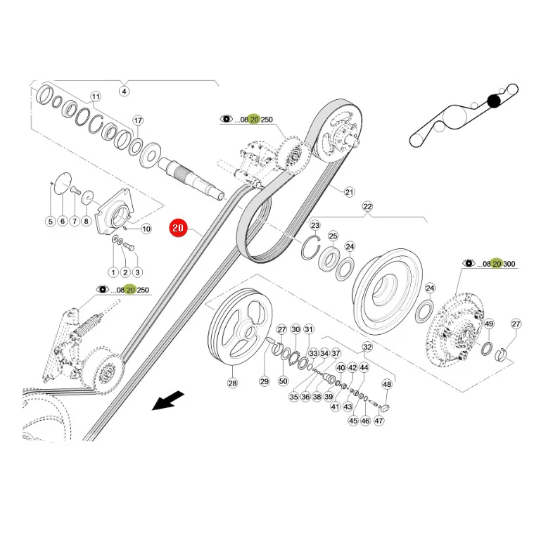 Gates - 665798.26 - Claas Schneidwerksantrieb Keilriemen 2 Stk. 665798.0