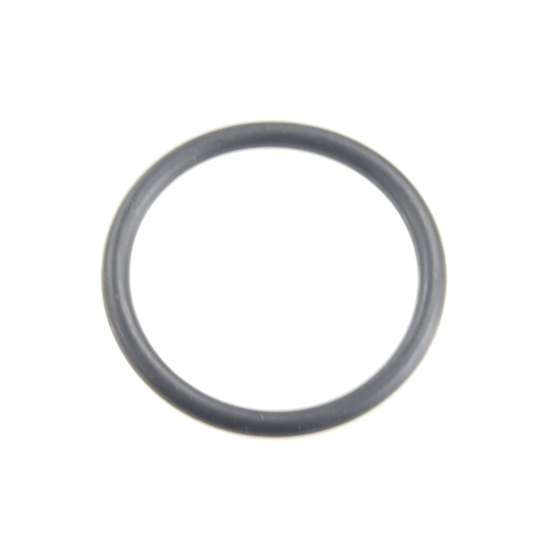 Granit - 380060005 - Motor-O-Ring Fendt