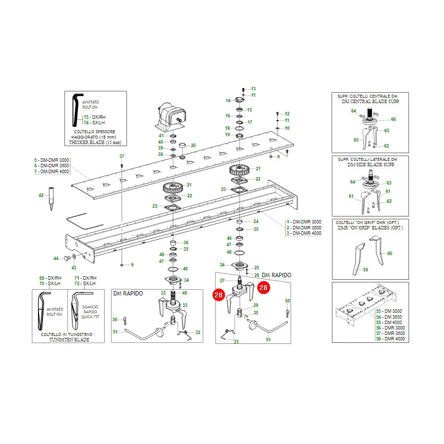 Maschio Gaspardo - M36100366R - rechter Zahn