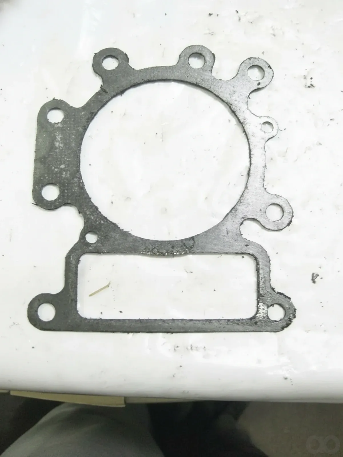 Briggs and Stratton