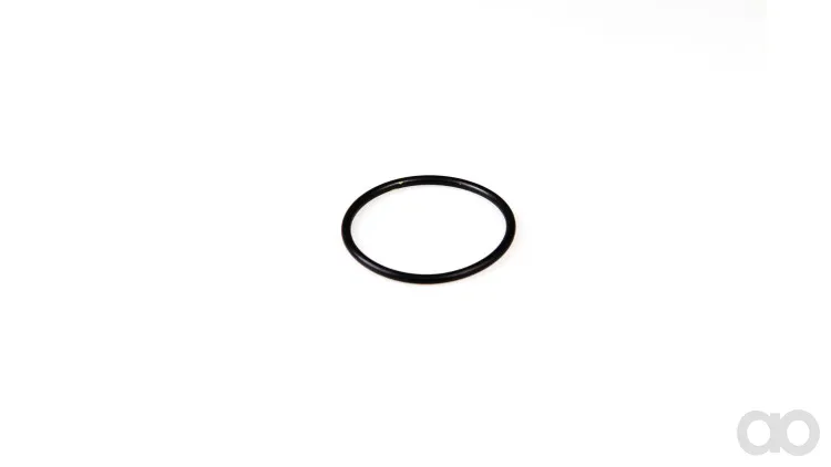Case IH - 14458880 - O-Ring