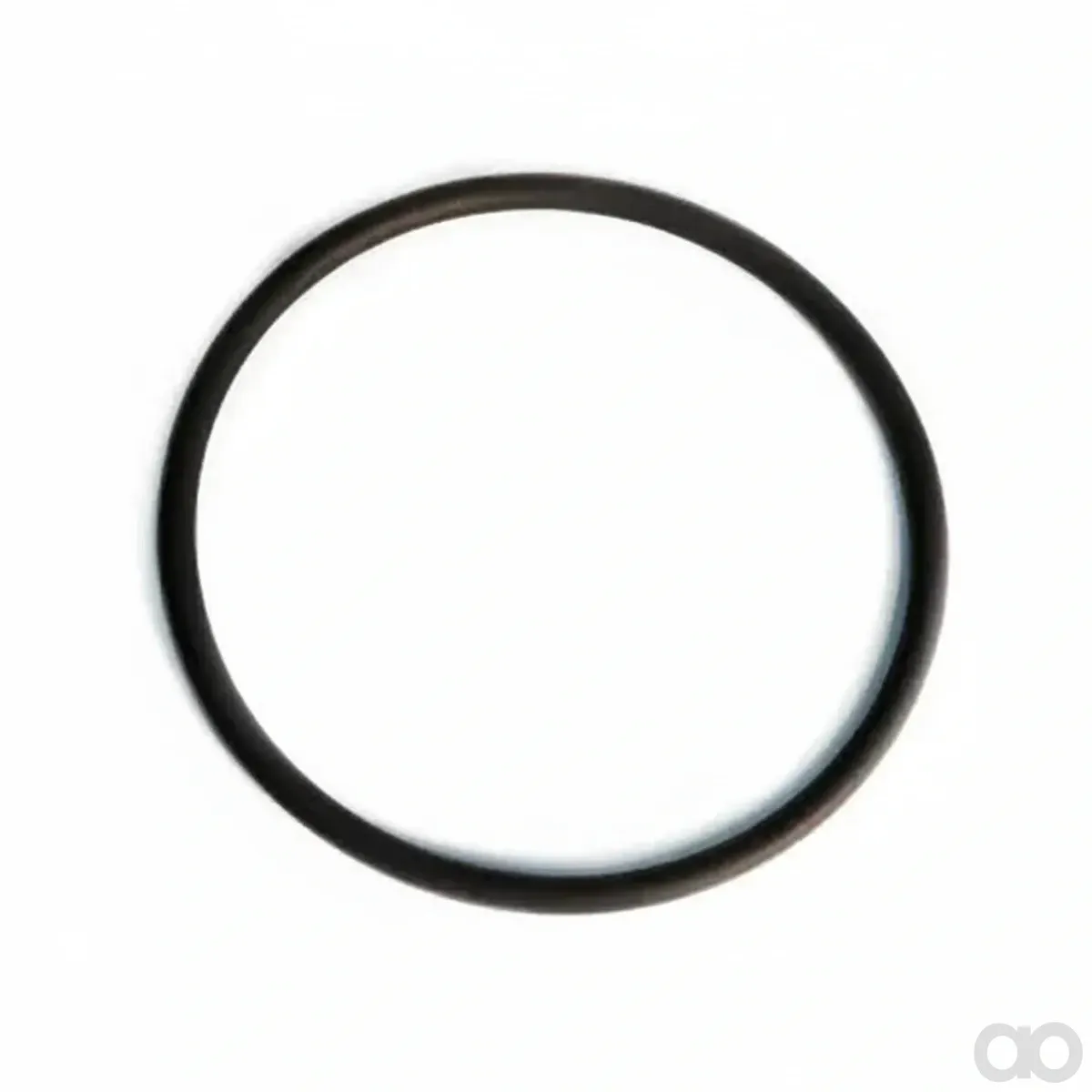 Case IH - 4898876 - O-Ring