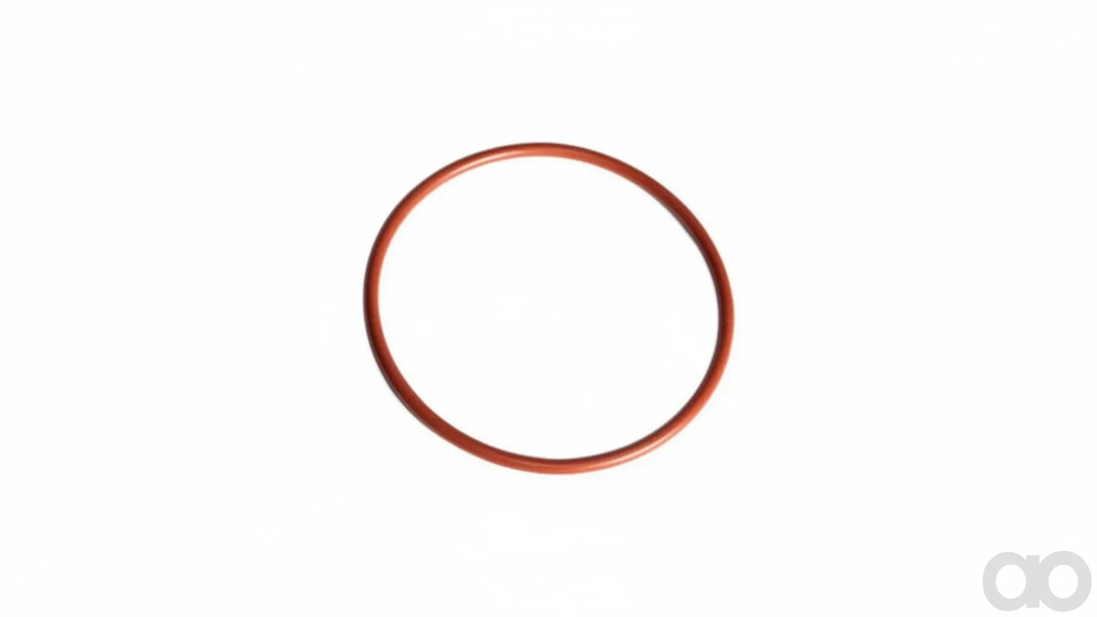 Case IH - 4899087 - O-Ring