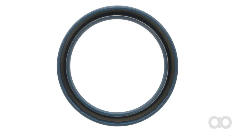 Case IH - 84443163 - Dichtring