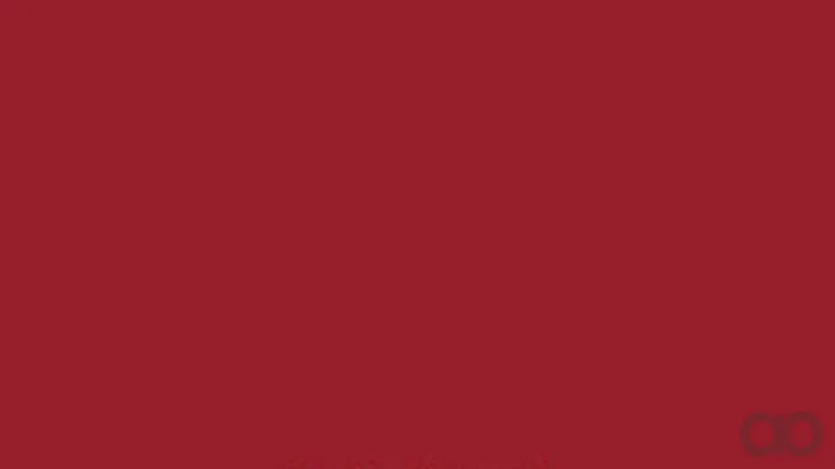 Case IH - 991012N - Lack