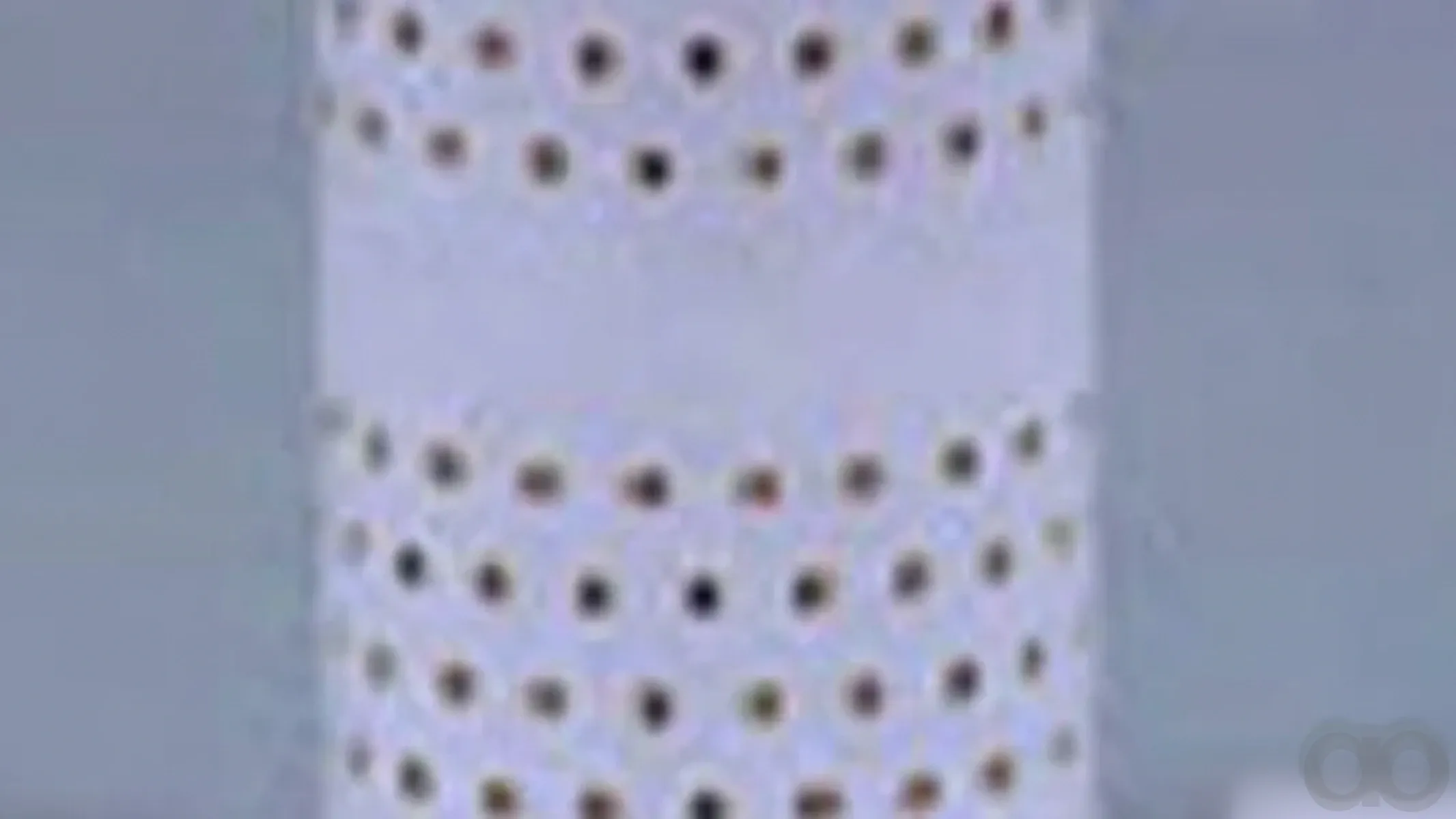 Case IH - LF4031 - Motor Oelfilter