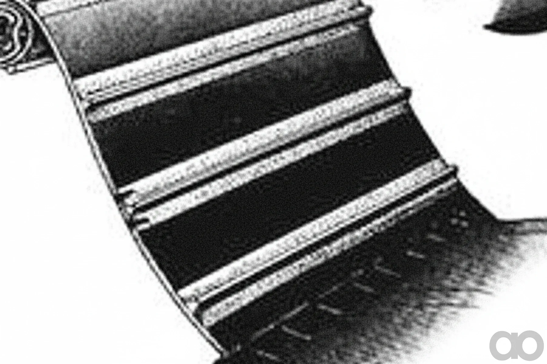 Case IH