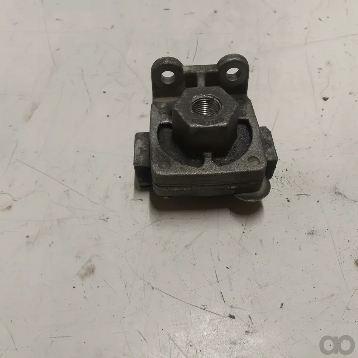 Dana - 223855 - Segment