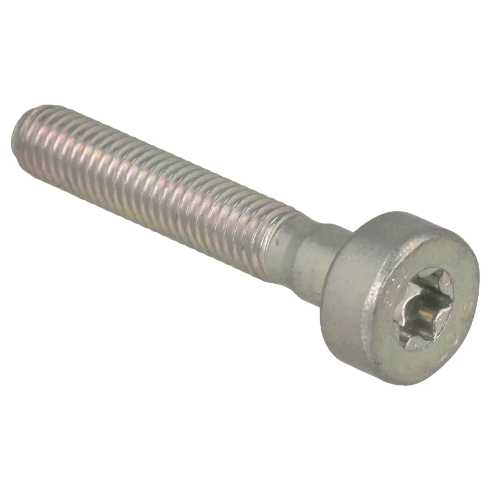 Stihl - 9022-346-1069 - Zylinderschraube IS-M5x30