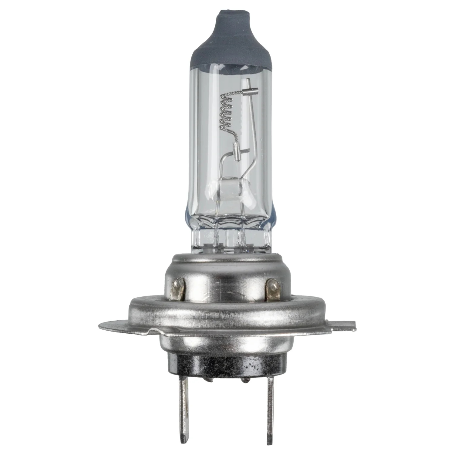 Febi Bilstein - 173282 - Glühlampe, für Hauptscheinwerfer