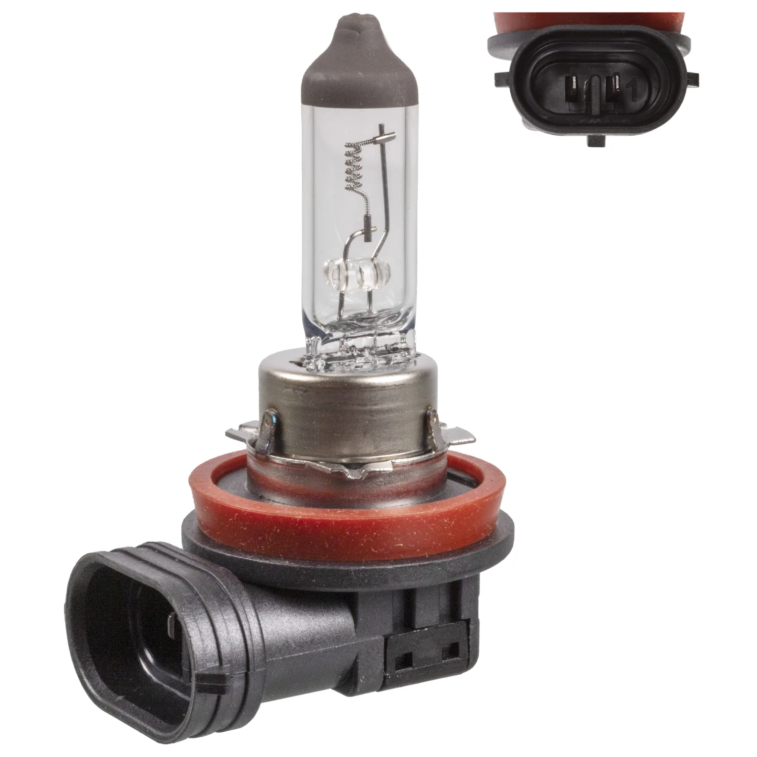 Febi Bilstein - 173288 - Glühlampe, für Nebelscheinwerfer