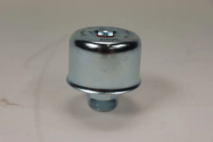 Donaldson - P172383 - Luftfilter (Be- und Entlüftung M 22x1,5)