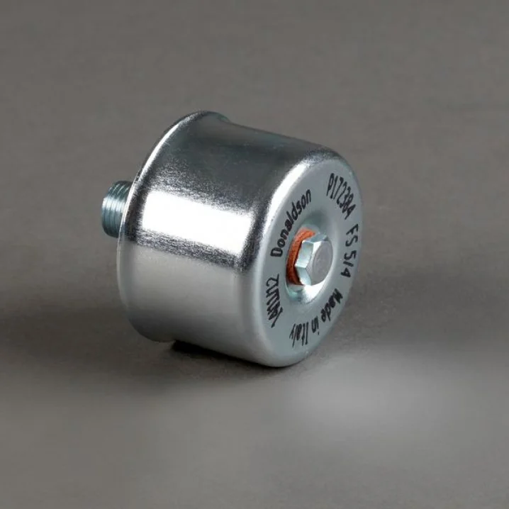 Donaldson - P172384 - Luftfilter (Be- und Entlüftung G 1/4inches )
