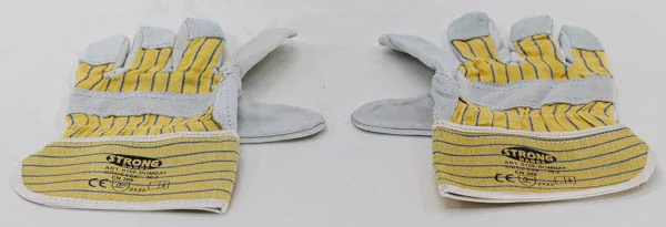 Elsaesser