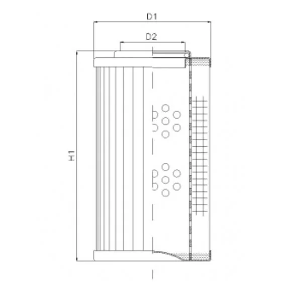 Filtrec - D1101G10AV - Hydraulikfilterelement (Druckfilter)