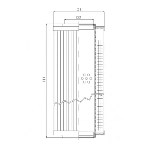Filtrec - D663G06A - Hydraulikfilterelement (Druckfilter)