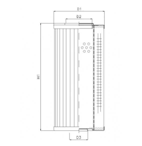 Filtrec - D930G06A - Hydraulikfilterelement (Druckfilter)