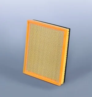 Fleetguard - AF25797 - Luftfilterelement